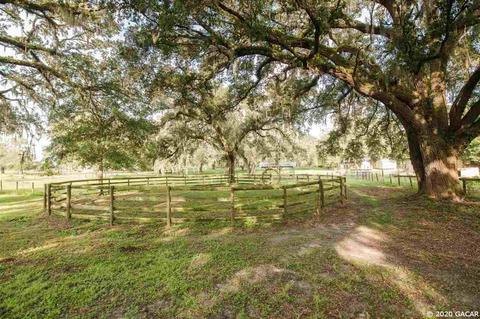 16851 NE 50th, Williston, FL 32696 photo 19
