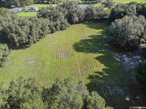 16851 NE 50th, Williston, FL 32696 photo 30