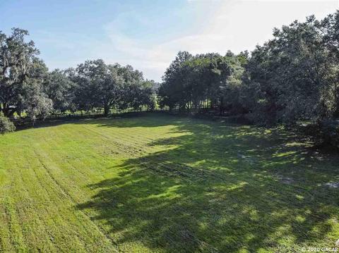 16851 NE 50th, Williston, FL 32696 photo 22