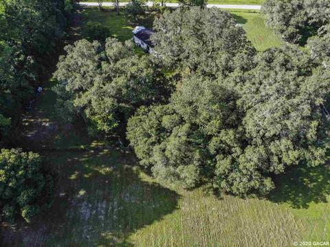 16851 NE 50th, Williston, FL 32696 photo 23