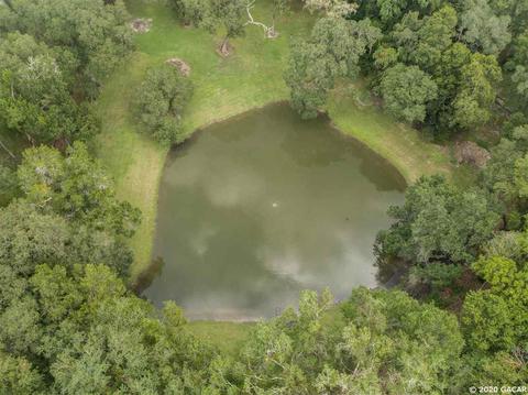 16590 NE 51st, Williston, FL 32696 photo 2
