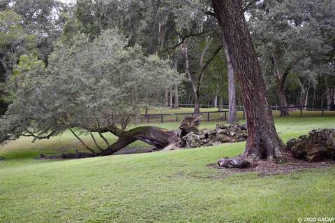 16590 NE 51st, Williston, FL 32696 photo 8