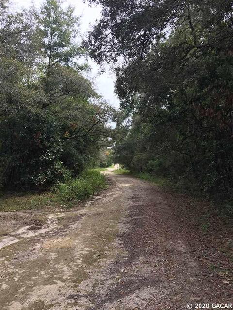 1991 NE 126th, Williston, FL 32696 photo 30