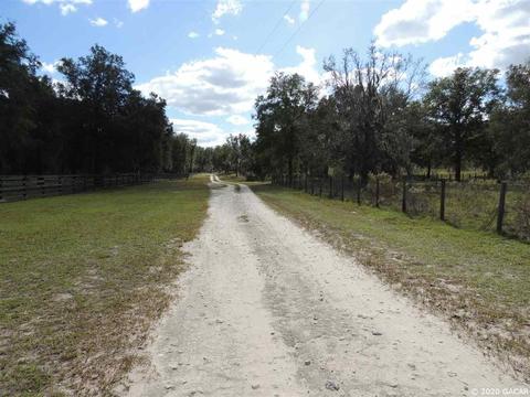 7251 NE 142nd, Williston, FL 32696 photo 14