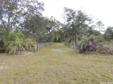 7251 NE 142nd, Williston, FL 32696 photo 2