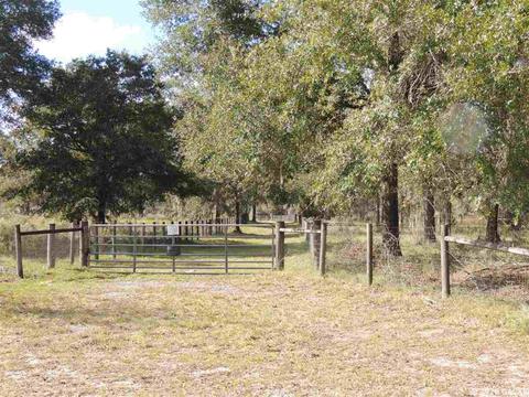 7251 NE 142nd, Williston, FL 32696 photo 1