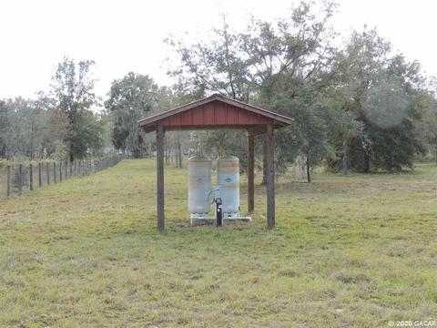 7251 NE 142nd, Williston, FL 32696 photo 3