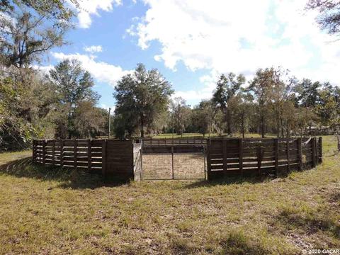 7251 NE 142nd, Williston, FL 32696 photo 9