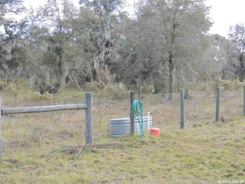 7251 NE 142nd, Williston, FL 32696 photo 13