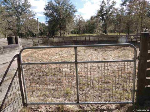7251 NE 142nd, Williston, FL 32696 photo 10