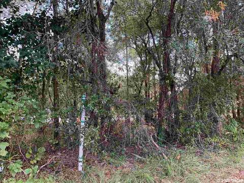 2231 SE 34th, Gainesville, FL 32641 photo 6