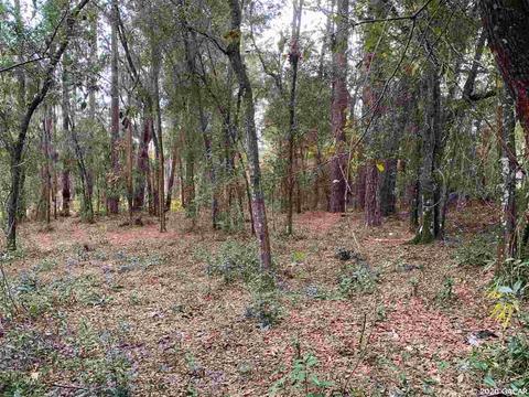 2231 SE 34th, Gainesville, FL 32641 photo 9