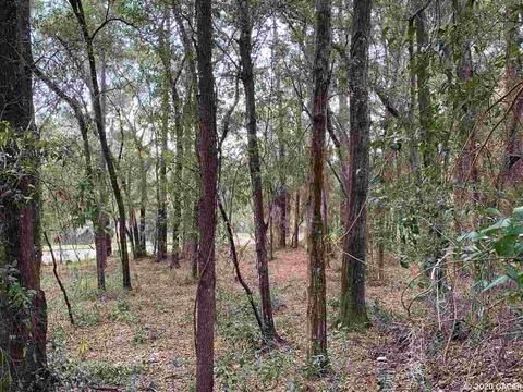 2231 SE 34th, Gainesville, FL 32641 photo 8