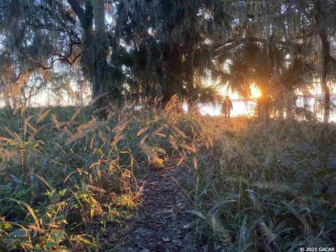 650 SE 75, Gainesville, FL 32641 photo 2