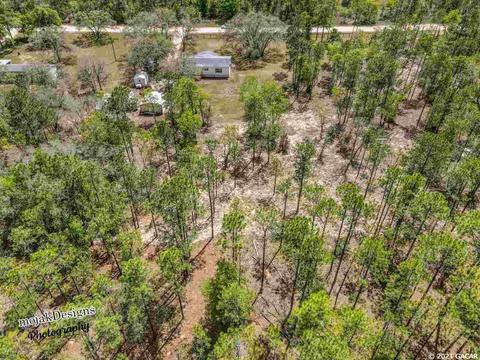 14871 SE 6th, Williston, FL 32696 photo 23