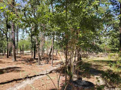 150 NE 135, Williston, FL 32696 photo 25