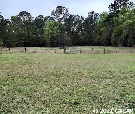 16050 NE 71st, Williston, FL 32696 photo 2