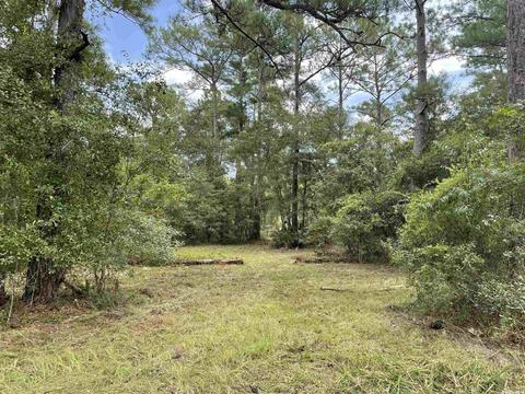 13645 NE 148, Waldo, FL 32694 photo 1