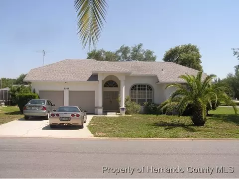 7302 Staghorn Dr, Spring Hill, FL 34607 photo 1