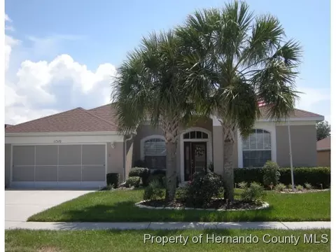11510 Mcleod St, Spring Hill, FL 34609 photo 1