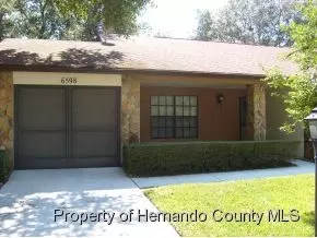 6598 Bramblefeaf Dr, Spring Hill, FL 34606 photo 1