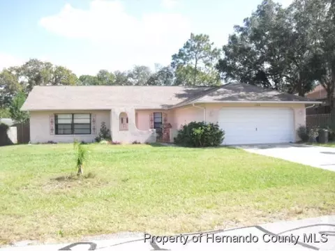 11201 Riddle Dr, Spring Hill, FL 34608 photo 1
