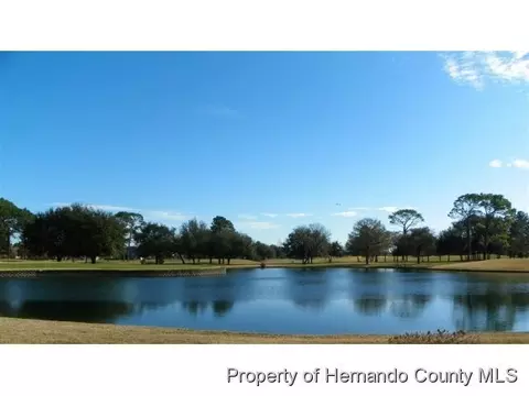 4296 Hunters Pass, Spring Hill, FL 34609 photo 1