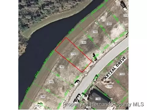 1255 Ketzal, Trinity, FL 34655 photo 1
