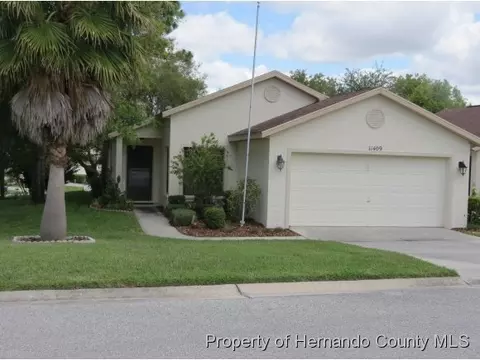 11409 Billingham Blvd, Spring Hill, FL 34609 photo 1
