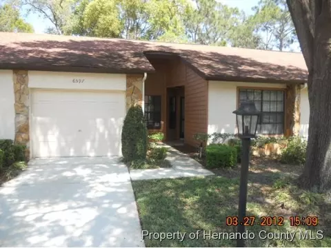 6597 Brambleleaf Dr, Spring Hill, FL 34606 photo 1