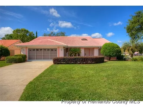 4313 Craigdarragh Ave, Spring Hill, FL 34606 photo 1