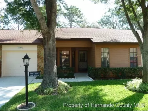 6585 Brambleleaf Dr, Spring Hill, FL 34606 photo 1