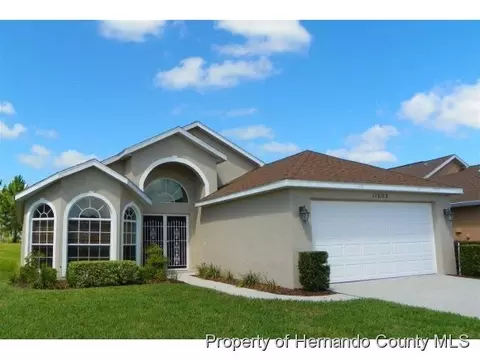 11602 Mcleod St, Spring Hill, FL 34609 photo 1