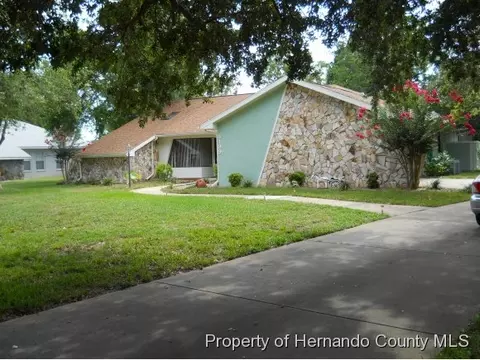 8199 Floral Dr, Weeki Wachee, FL 34607 photo 1