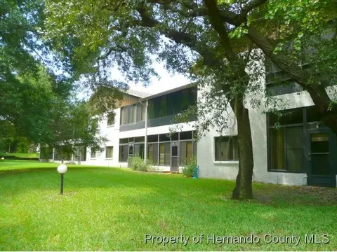 7102 River Run Blvd, Weeki Wachee, FL 34607 photo 1