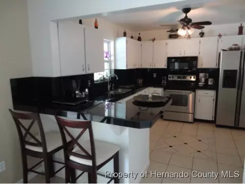 1067 Edgehill Ave, Spring Hill, FL 34606 photo 1