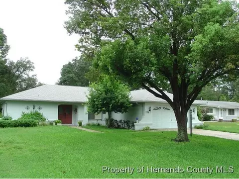 1190 Channing Ave, Spring Hill, FL 34608 photo 1