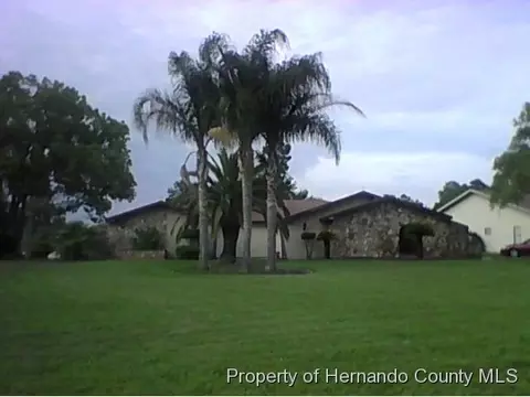 7925 Floral Dr, Weeki Wachee, FL 34607 photo 1