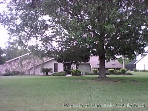 7884 Floral Dr, Weeki Wachee, FL 34607 photo 1