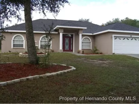 8203 Chimney Rock Dr, Webster, FL 33597 photo 1