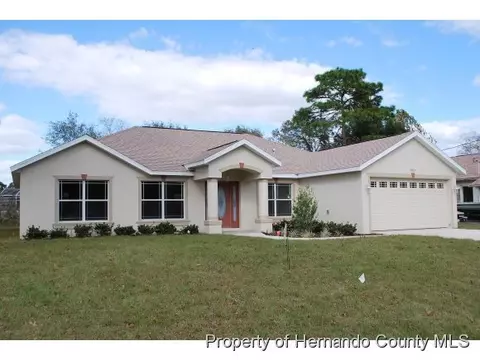 3291 Guava Ln, Spring Hill, FL 34609 photo 1