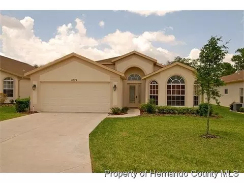 11079 Heathrow Ave, Spring Hill, FL 34609 photo 1