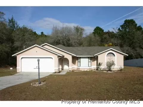 12193 Pine Bluff St, Spring Hill, FL 34606 photo 1