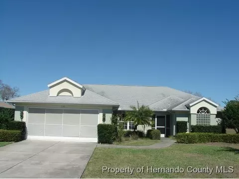 3343 Cedar Crest Loop, Spring Hill, FL 34609 photo 1
