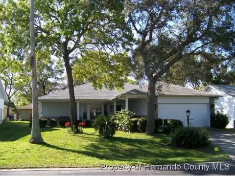 6464 Pine Meadows Dr, Spring Hill, FL 34606 photo 1
