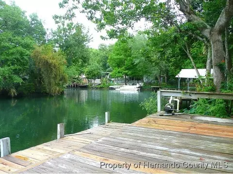 6719 Richard Dr W, Weeki Wachee, FL 34607 photo 1