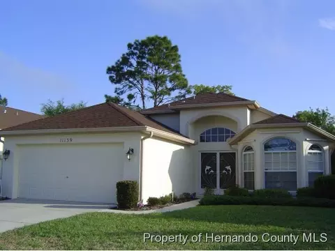 11139 Heathrow Ave, Spring Hill, FL 34609 photo 1