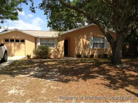 166 Candlewick Ave, Spring Hill, FL 34608 photo 1