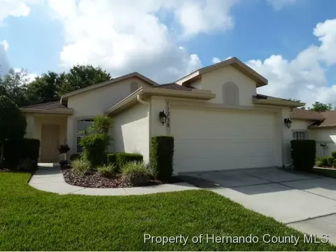 11238 Heathrow Ave, Spring Hill, FL 34609 photo 1