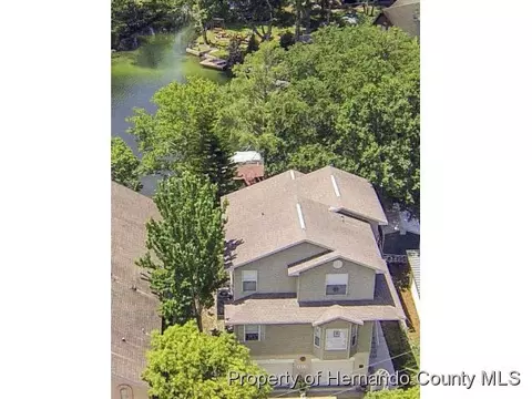 7213 Tropical Dr, Weeki Wachee, FL 34607 photo 1